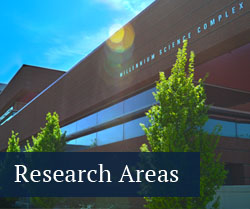 Research Areas