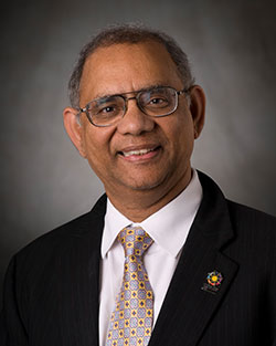 Akhlesh Lakhtakia, Charles Godfrey Binder Professor in Engineering Science and Mechanics