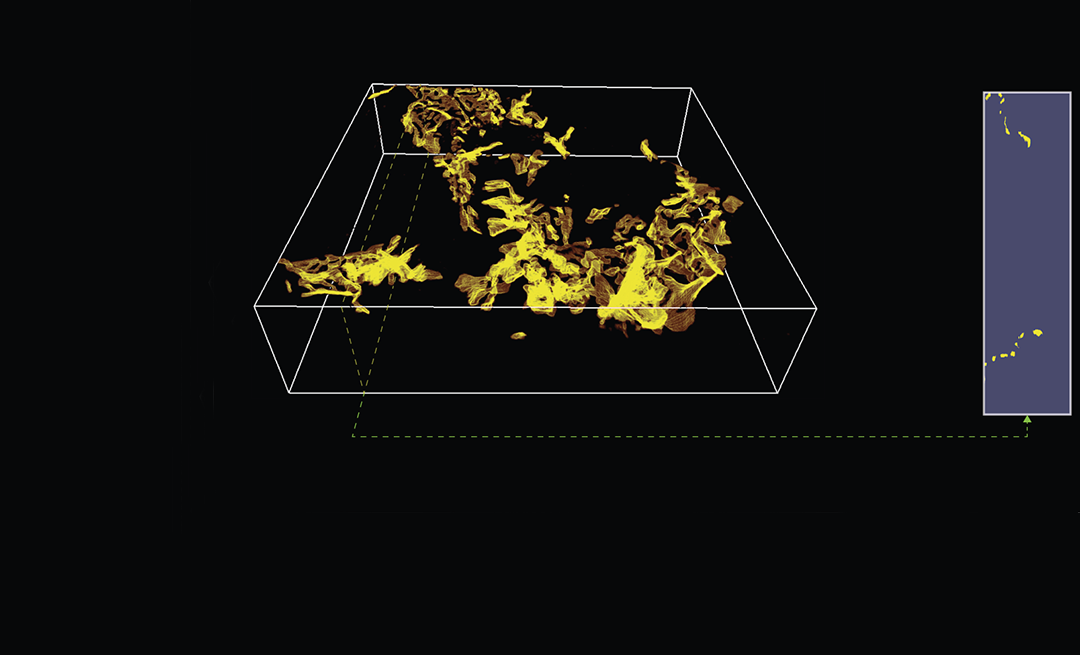 Gold flakes on a black background