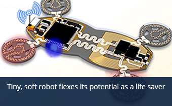 small, flexible robotic device