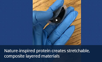 Nature-inspired protein creates stretchable, composite layered materials