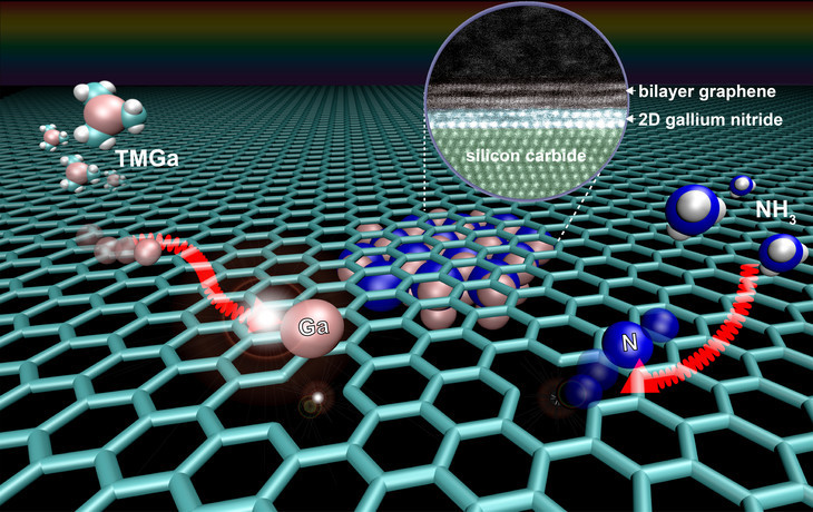 An illustration of the Migration Enhance Encapsulated Growth (MEEG) process to stabilize novel wide-bandgap two-dimensional nitride semiconductors that are not naturally occurring. MEEG is facilitated by defects in the graphene lattice that act as pathways for intercalation.