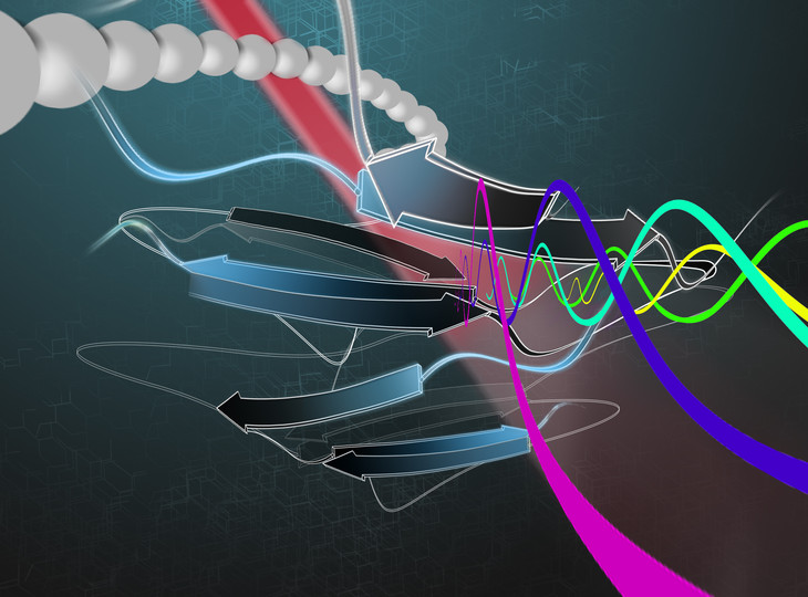 The researchers are using femto and pico-second lasers to inspect the proteins as they flow past in single file.