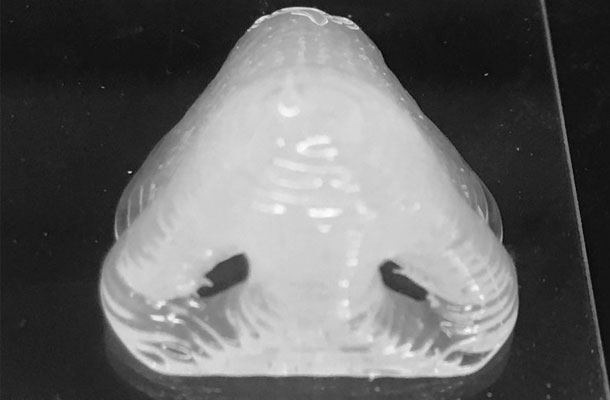 A nose created using 3-D printing of PDMS from National Institutes of Health 3-D Print Exchange.