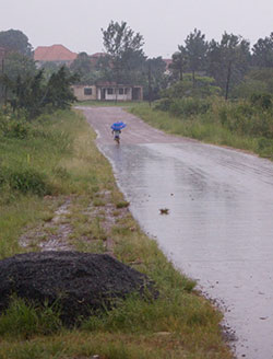 A Ugandan girl walking in the rain.