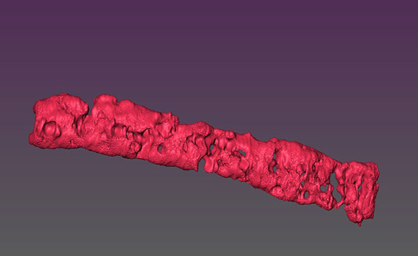 Reconstructed 3D image of porous tissue strand using magnetic resonance imaging. 