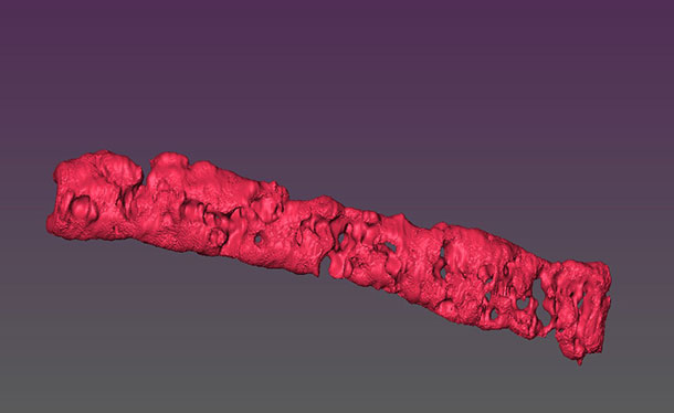 Reconstructed 3D image of porous tissue strand using magnetic resonance imaging.