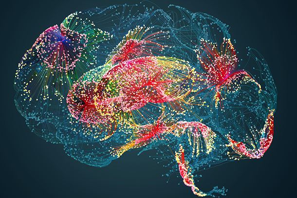 Graphic of brain with specific areas highlighted 